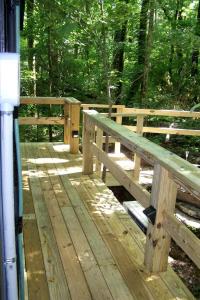 Cozy Tiny House in Tennessee Forest with Loft Beds & Country Breakfast