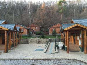 Hotel Z&ouml;ldv&aacute;r villa Bog&aacute;cs Madžarska