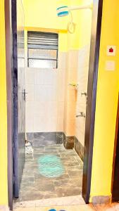 Elegant 2 Bedroom B & B Makasembo