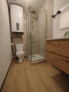 Appart T3, Proche Gare, Wifi, Parking