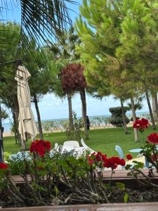 Ori-Apartament Golem Albania