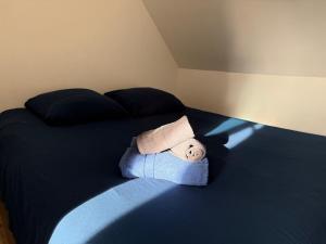 COZY Votre cocon douillet à Epernon