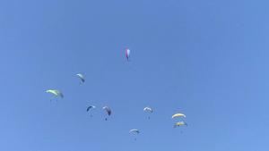 Hidden leaf Guesthouse