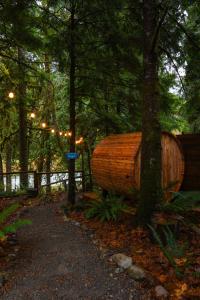 Mt Pilchuck River Cabin