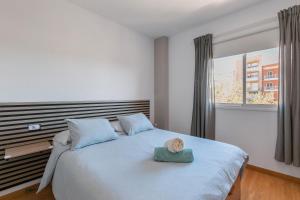 Brisas del mar eddy, air, wifi