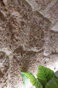 La Casetta in Centro Alghero img45