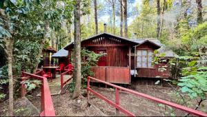 Salto del Indio - Cabañas Lemunantu