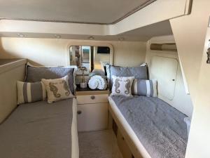 punta excursiones the king of kings