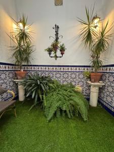 Apartamento Castaños