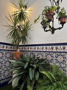 Apartamento Castaños