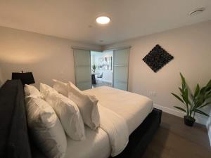 Large 1 BR downtown with lots of sunlight