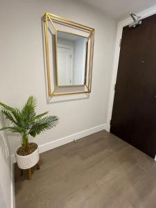 Large 1 BR downtown with lots of sunlight