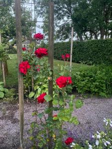 Historic Halland Farm Near The Sea In Bua