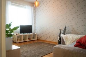 Koskikatu City Apartment