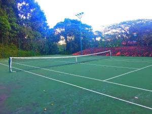 Paradise at your feet