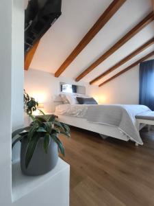 Apartman Diana,free parking