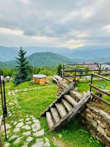 Pensiunea Casa Ancutei