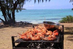 Melody Boat Trips - 5 Island Tour