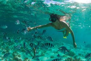 Melody Boat Trips - 5 Island Tour