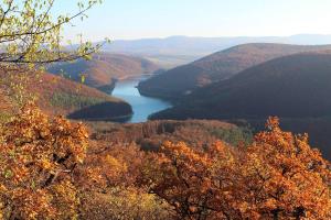 Bakterház Vendégház