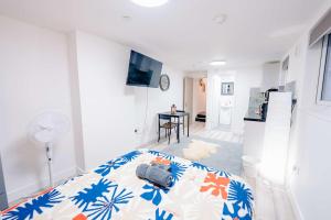 Modern Studio - Perfect for Work or Relaxation