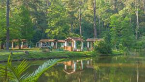 B Homy Hotel Fazenda APM