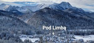 Willa Pod Limbą