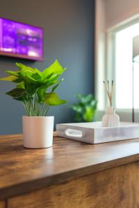 Modern 2BR&2BAQueen BedWork DeskWiFiWD