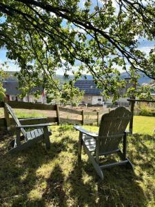 Fünf Harzer Berge Bocksberg