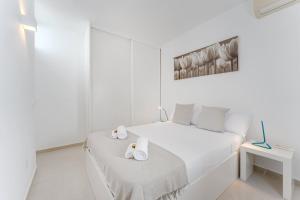 Palmera Sky Terrace Suite