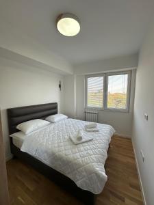 Sunny Apartment MONA