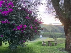 La Maestranza granja