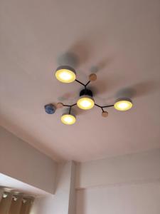 Urban Deca Shaw - PaulBerts Cabins II