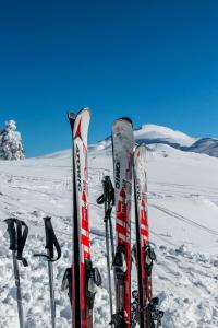 VILLA ADRY Aosta Sarre Your freedom