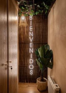 Cenote Suite - Expérience sensorielle