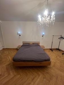 Superbe appartement luxueux, influence Haussmannienne et très spacieux