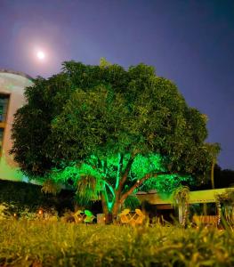 Hotel TACALOA INN EXPERIENCE