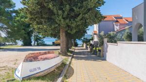 Apartments in Biograd na Moru 8169