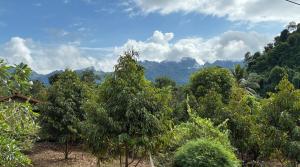 มาค่ะ ฟาร์มสเตย์ ห้วยเขย่ง สวนคุณตา สวนทุเรียนทองผาภูมิ