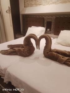 Cecelia Resort Hurghada H11