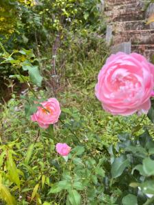 Maka farmstay Thong Pha Phum สวนคุณตาฟาร์มสเตย์
