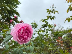Maka farmstay Thong Pha Phum สวนคุณตาฟาร์มสเตย์