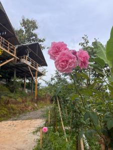 Maka farmstay Thong Pha Phum สวนคุณตาฟาร์มสเตย์
