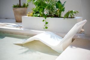 Luxury Jungle Studio with Shared Pool