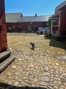 Historic Halland Farm Near The Sea In Bua