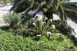 Apartment Igrane 5266a