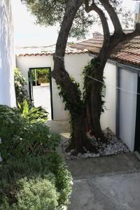 Apartment Igrane 5266a