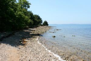 Apartments with parking space Privlaka, Zadar - 14465