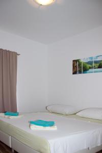 Apartments with swimming pool Sibenik - 4166