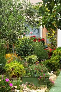 Apartments with parking space Vir - 10407